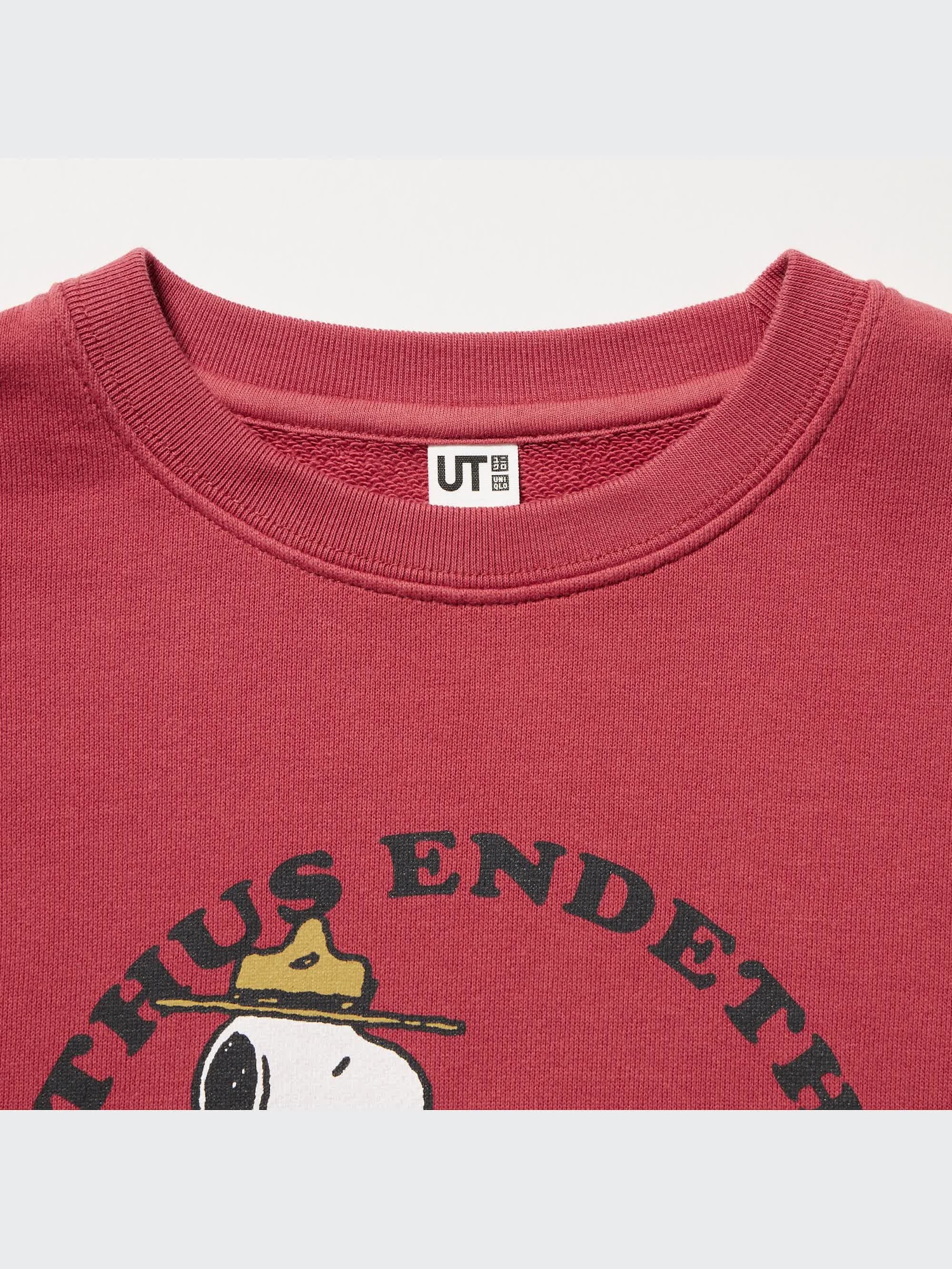 Uniqlo x KAWS x Peanuts Snoopy SWEAT PULLOVER SHIRT from