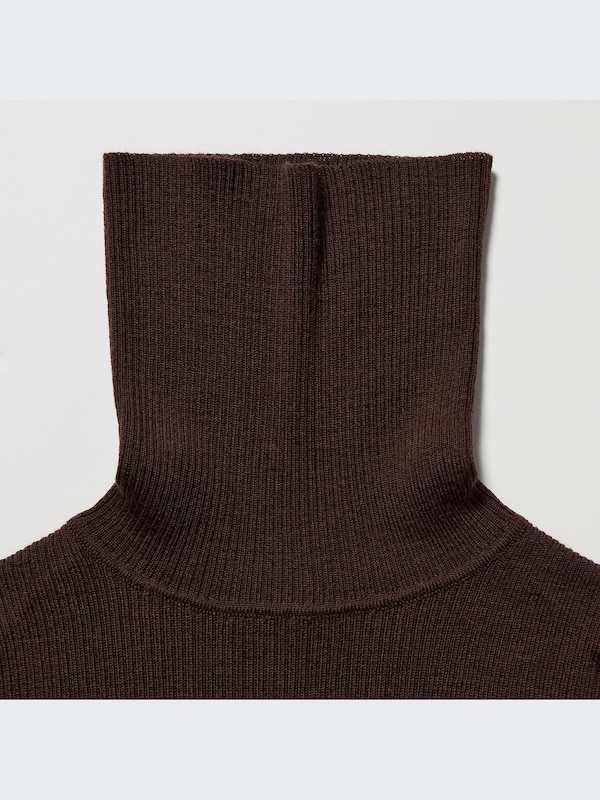Extra Fine Merino Ribbed Turtleneck Long-Sleeve Sweater (2022 Edition)
