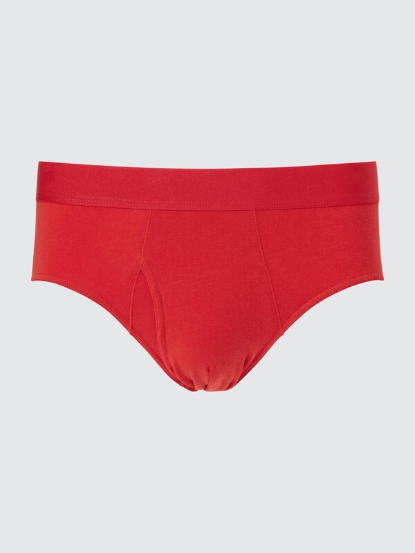 Briefs