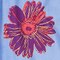 Andy Warhol Flowers Collection UT Printed Open Collar Short Sleeved Shirt
