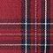 Girls Checked Pleated Skort
