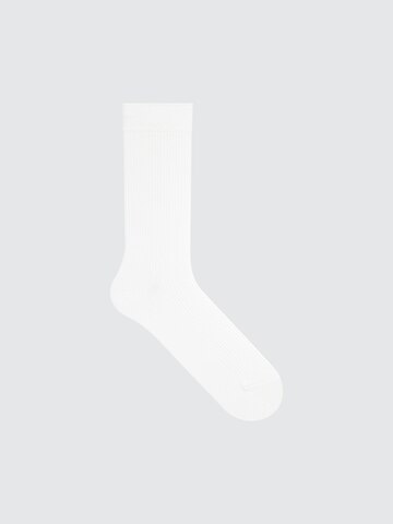 Colorful 50 Socks