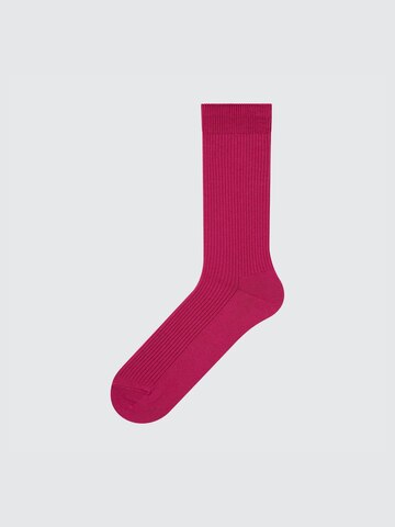 Colorful 50 Socks