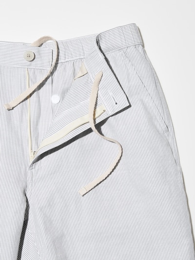 Linen Blend Shorts (Stripe)