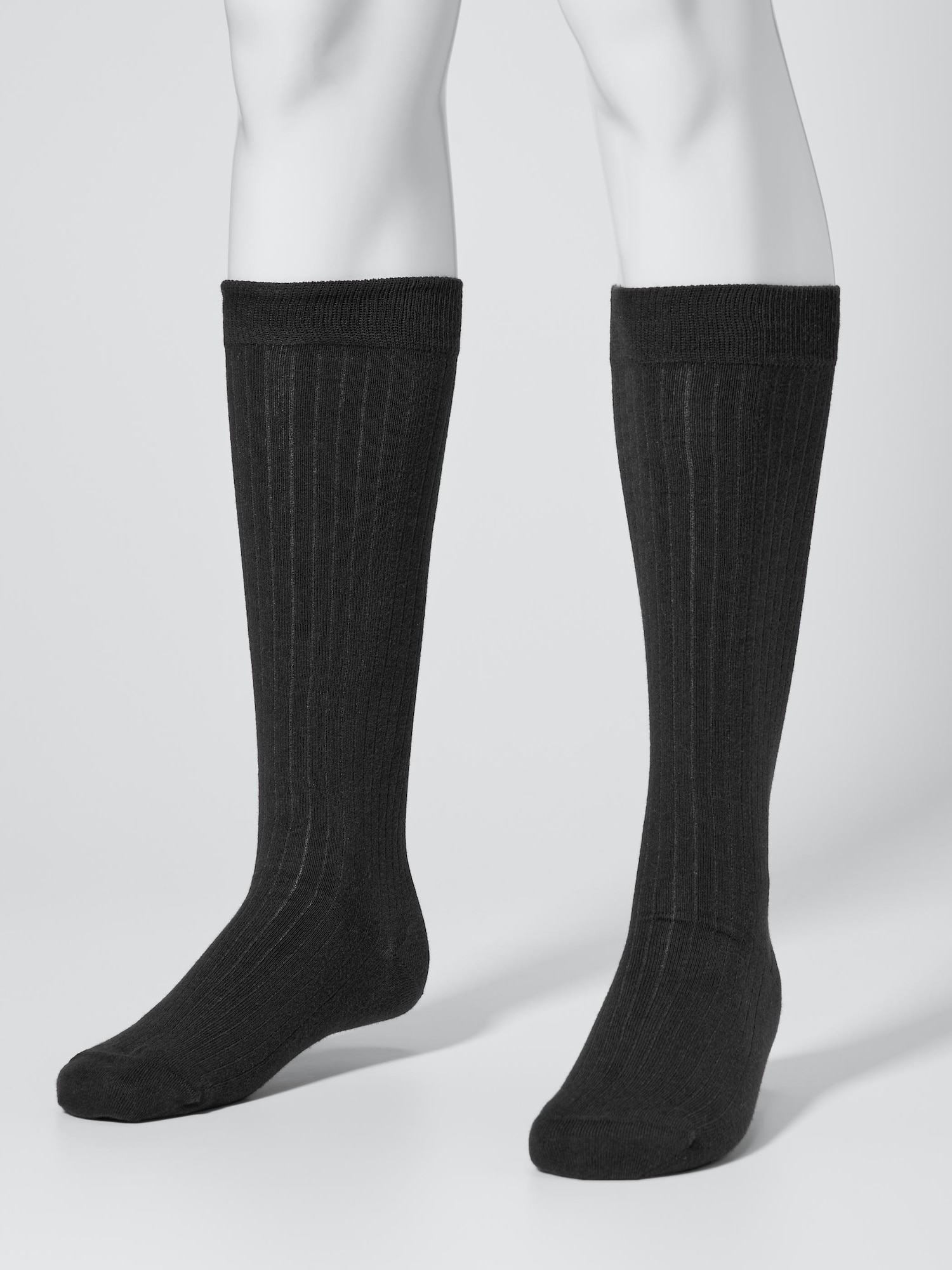 レッグウェア CLASS CCES21UNI A DOMIGO HI-SOCKS RIB レッグウェア
