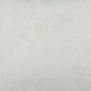 LICHTGRIJS