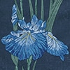 default image