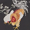 default image