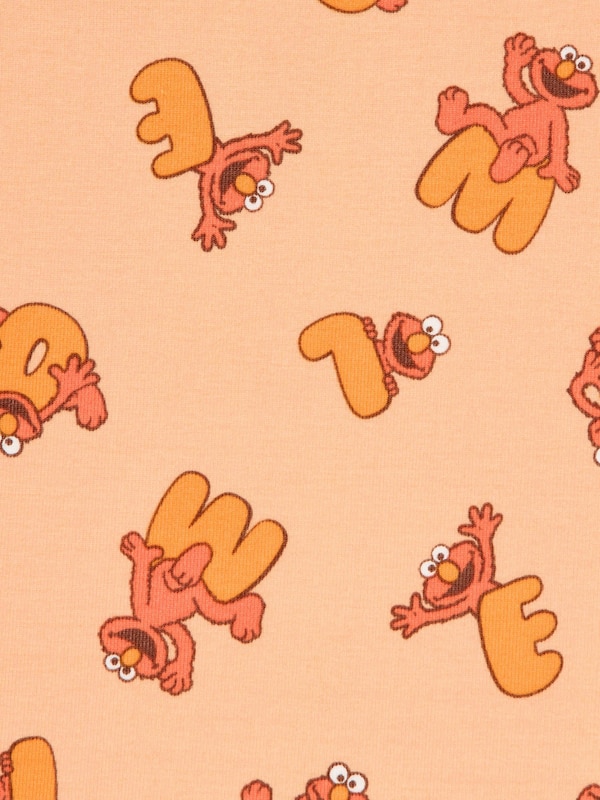 Sesame Street Long Sleeve Pyjamas