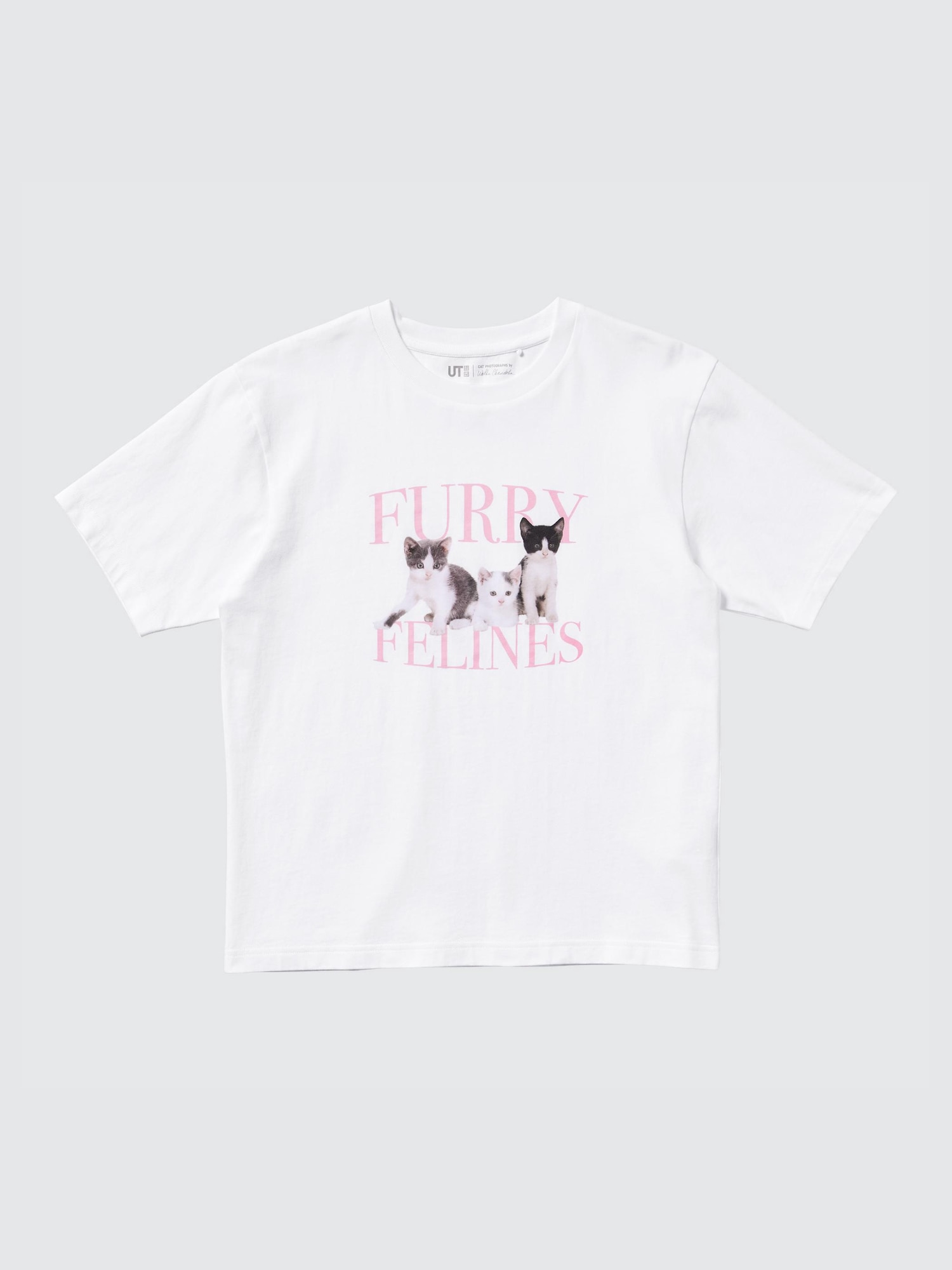 【CPGN STUDIO】ACT NICE CAT Short Sleeve T-shirt MUSINSA | CPGN STUDIO Yeppi Cat Short Sleeve T-shirt Black
