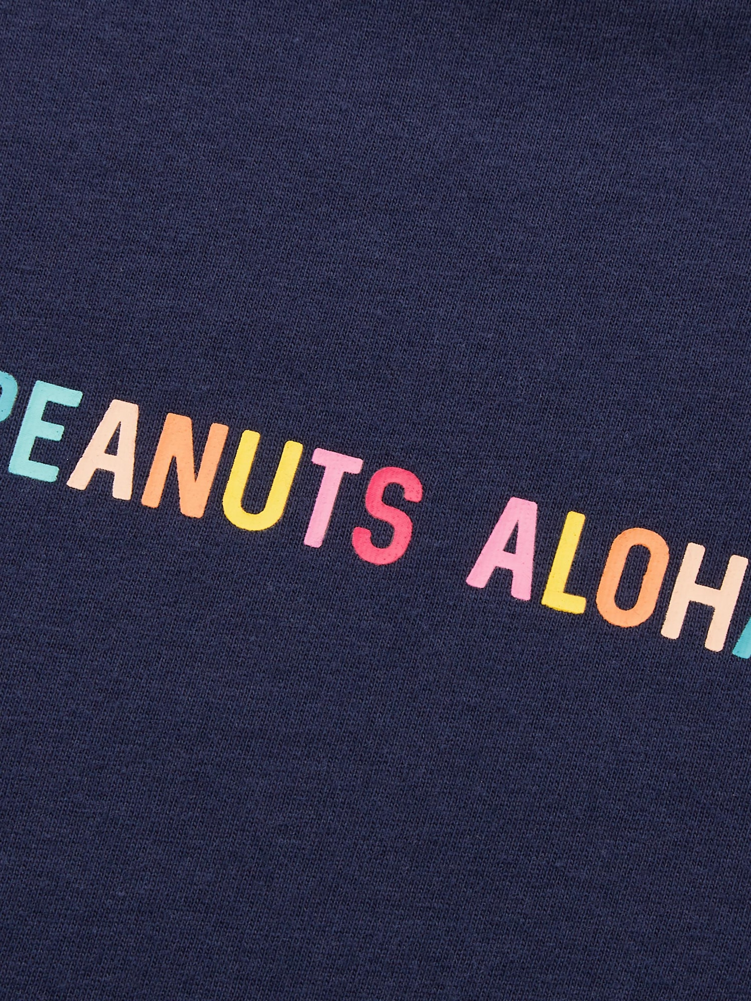 PEANUTS HAWAII UT Graphic T-Shirt