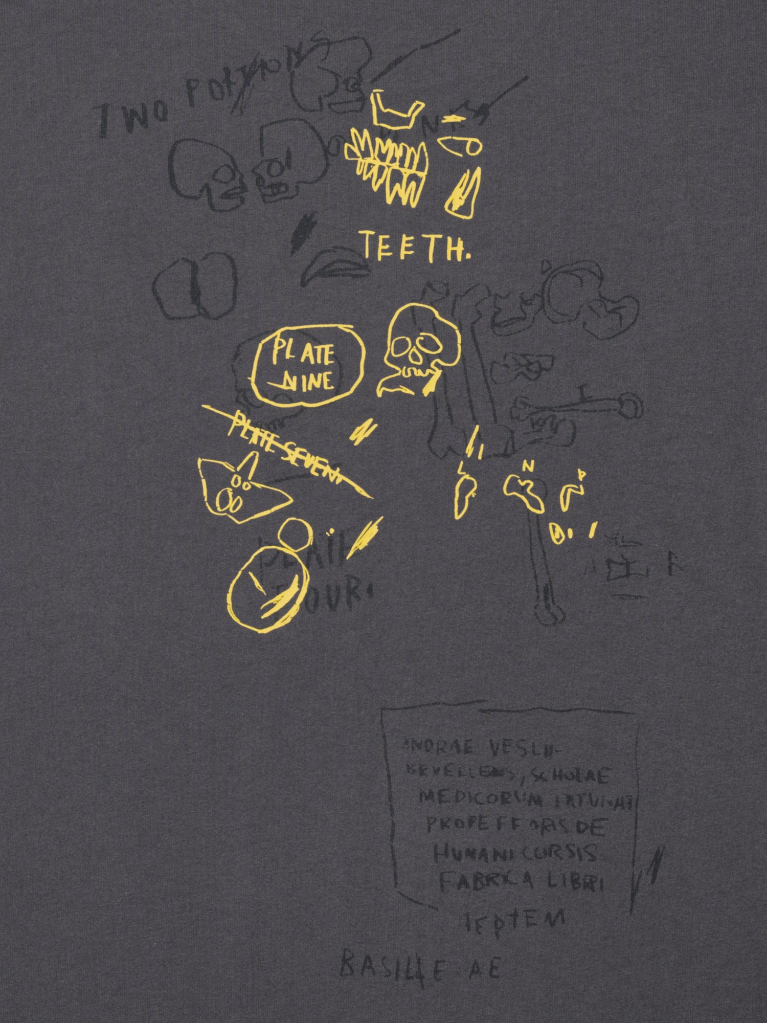 NY POP ART UT Graphic T-Shirt | Jean-Michel Basquiat | UNIQLO US