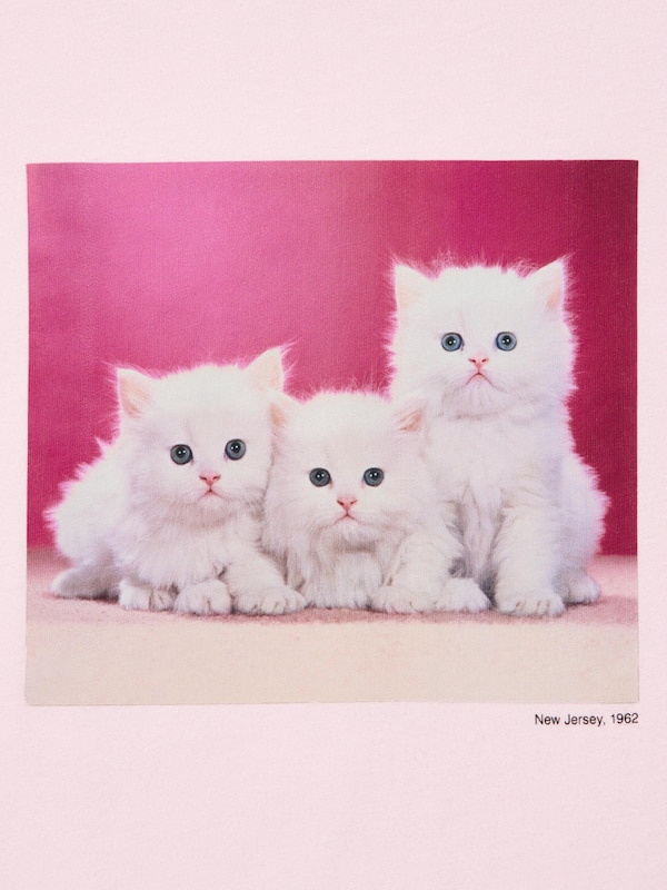 CAT PHOTOGRAPHS UT Graphic T-Shirt