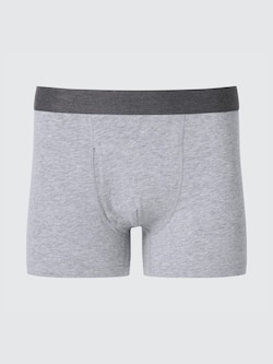 Boxer