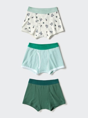 Boxer Briefs | 3 Pairs | Dinosaur