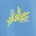 default image