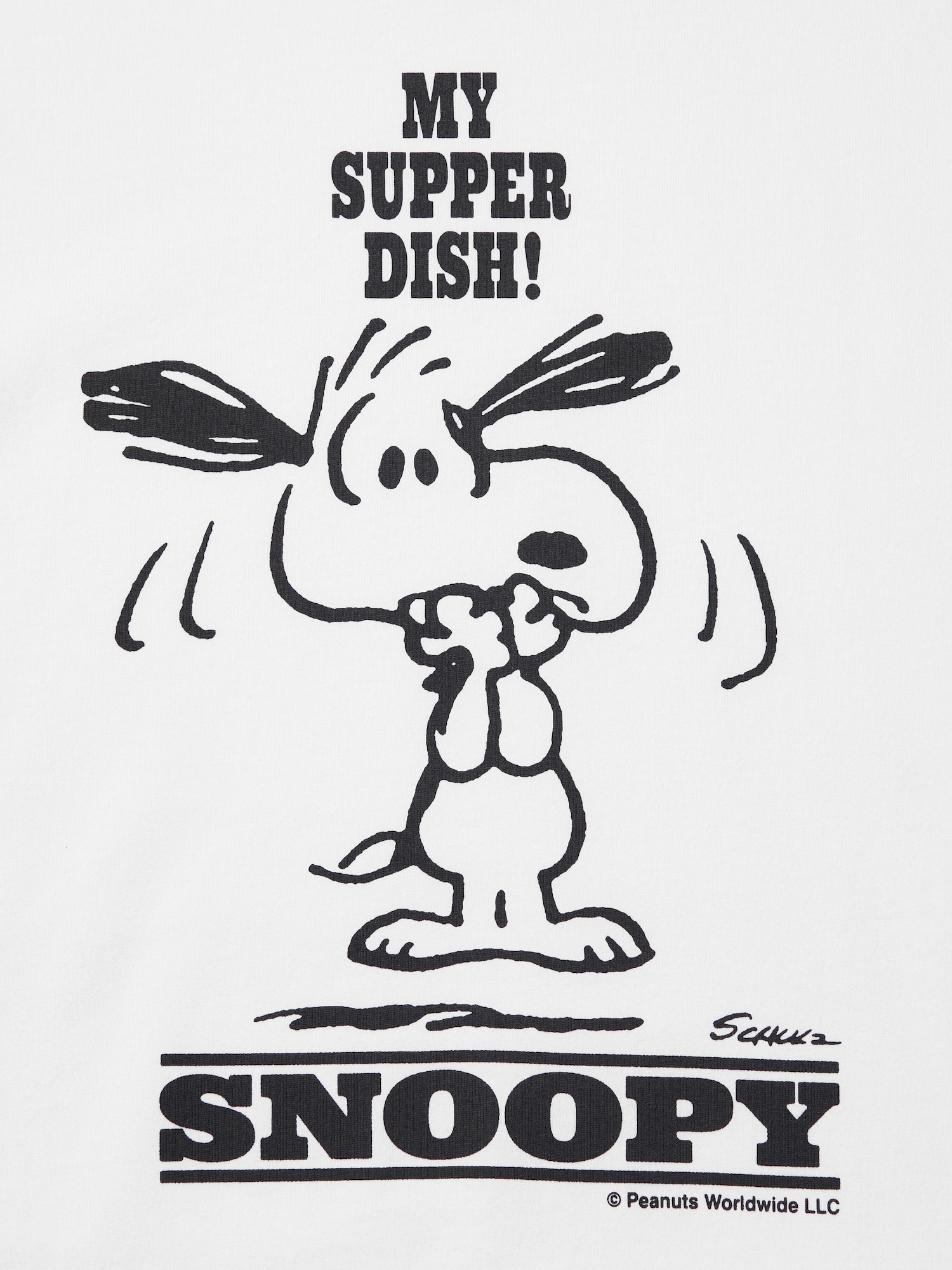 goods_484765_sub21_3x4.jpg