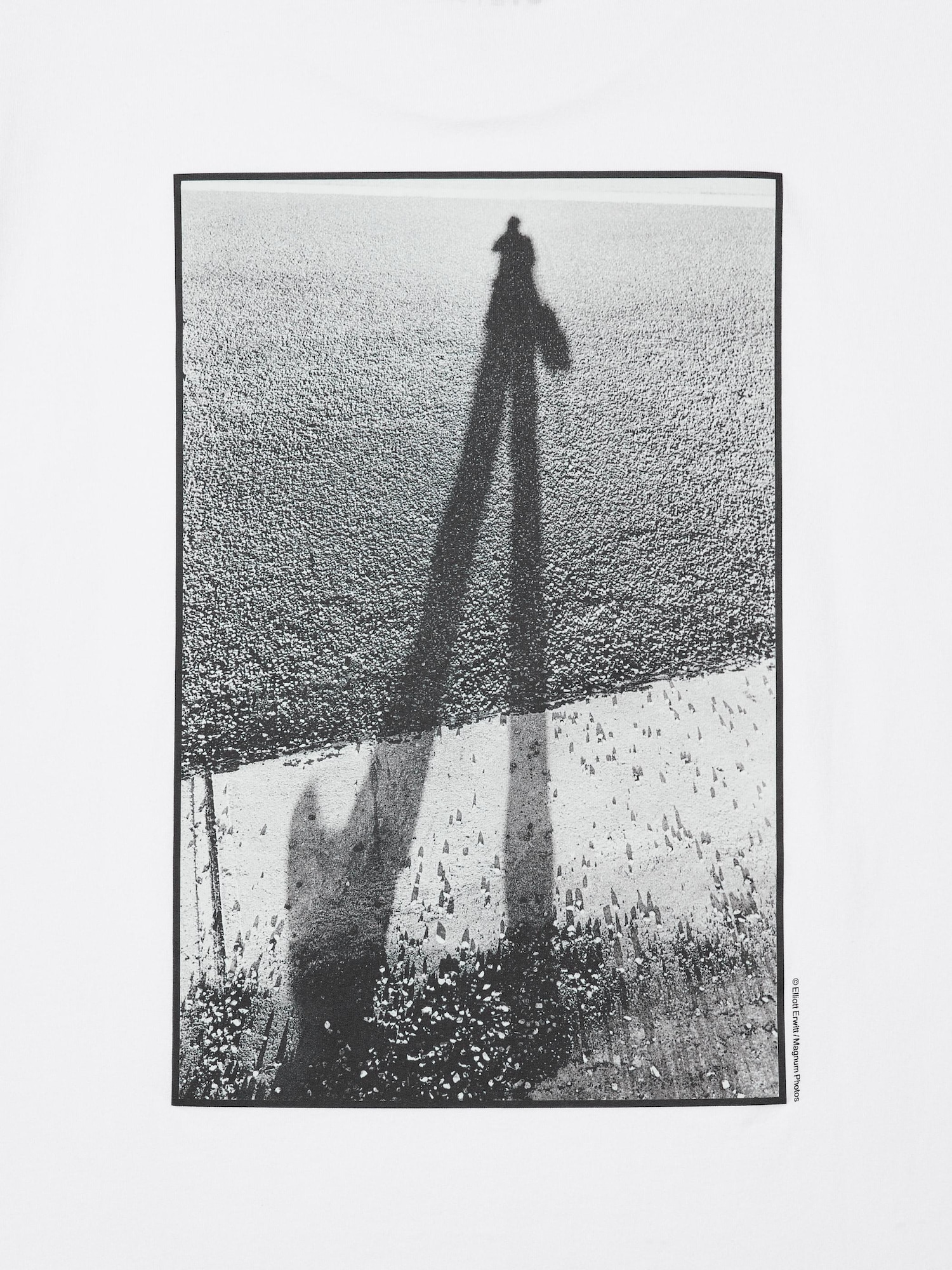 Elliott Erwitt UT Graphic T-Shirt