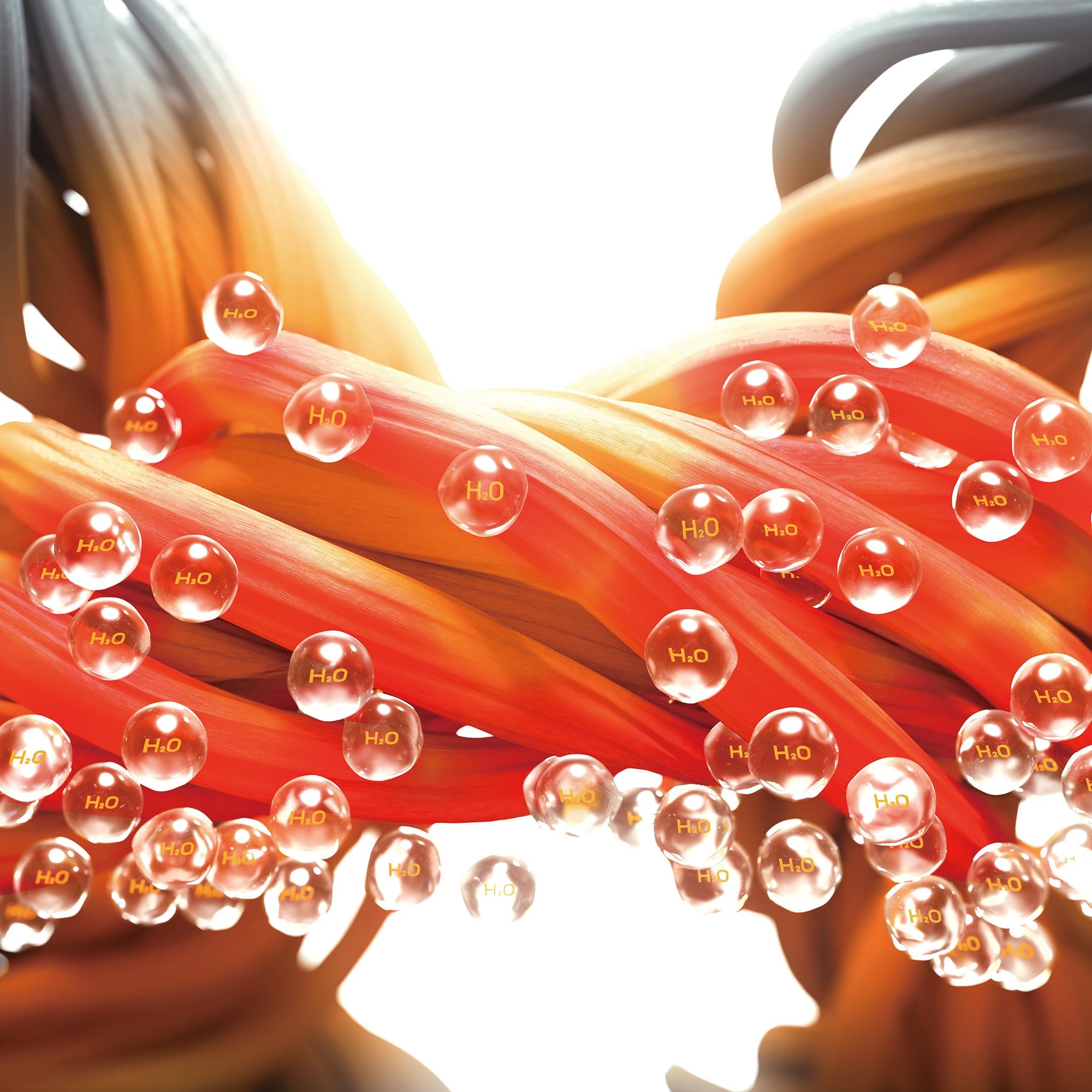 Lightweight yet warm thanks to Heat of Absorption technology.
