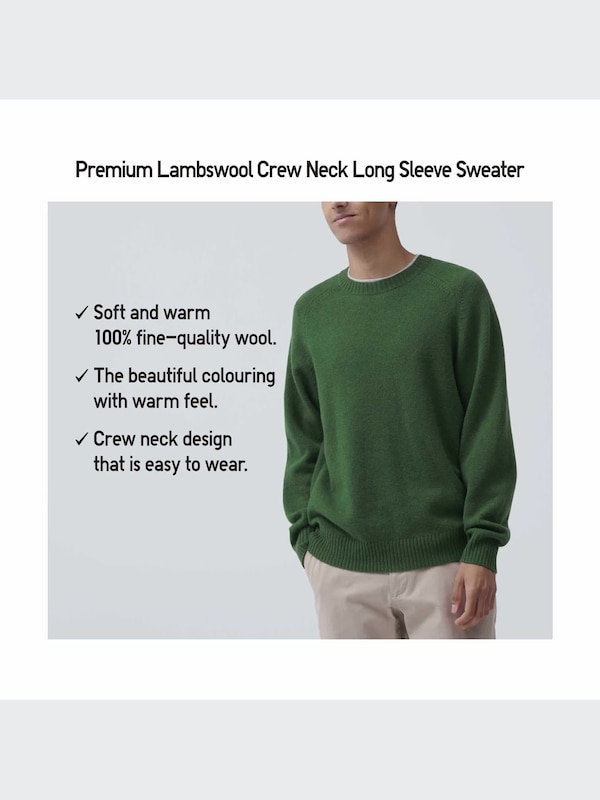 100% Premium Lambswool Long Sleeve Crew Neck Sweater