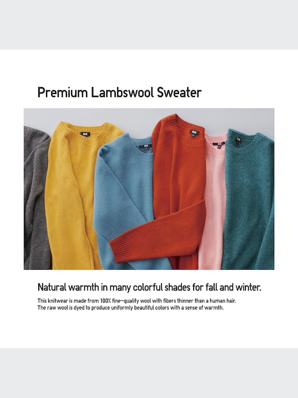 100% Premium Lambswool Long Sleeve Crew Neck Sweater