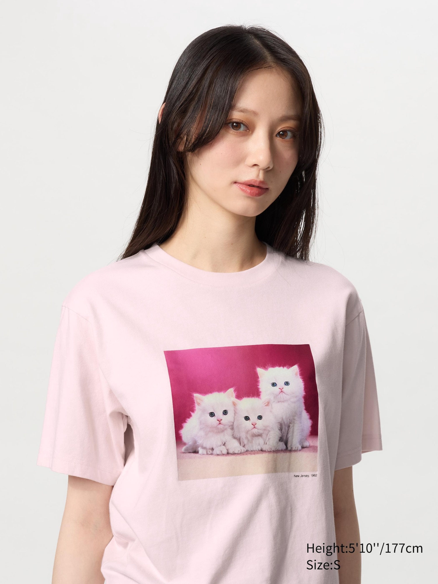 Women's CAT PHOTOGRAPHS UT Graphic T-Shirt | UNIQLO AU