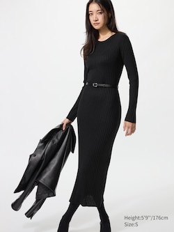 Merino Blend Wide Ribbed Knit Dress