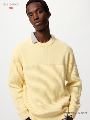 UNIQLO and JW ANDERSON Ribbed Crew Neck Sweater