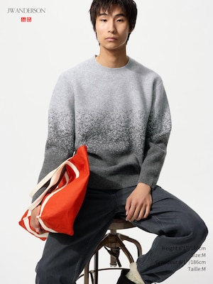 SOUFFLÉ YARN GRADATION CREW NECK SWEATER