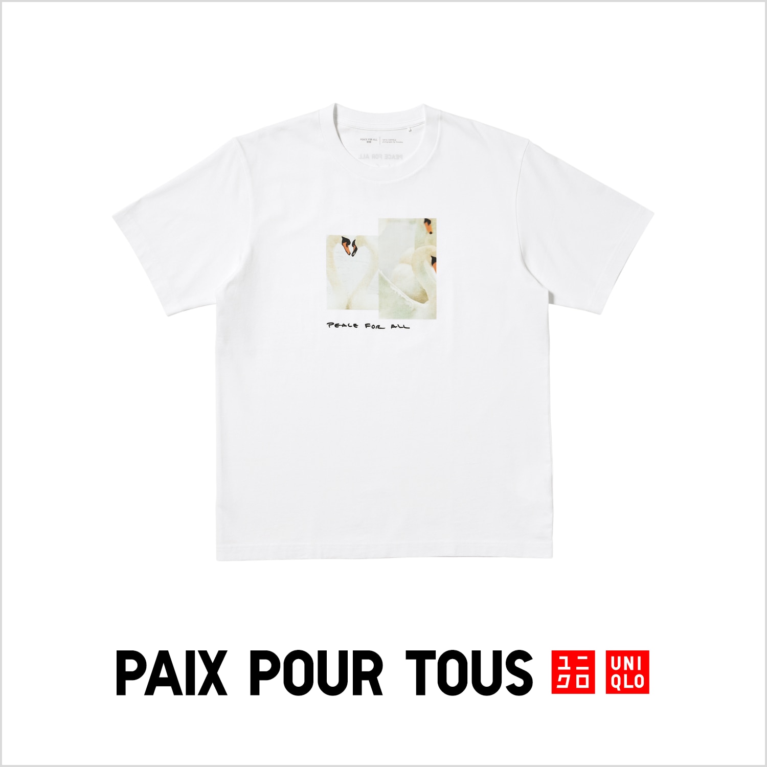 Paix Pour Tous