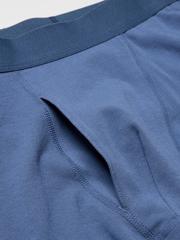 Cotton Regular Rise Boxer Briefs