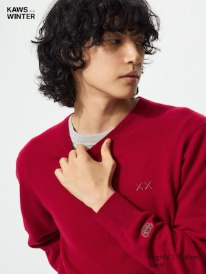 EXTRA FINE MERINO LONG SLEEVE POLO SHIRT