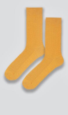 Chaussettes classiques