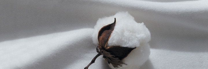 Supima Cotton