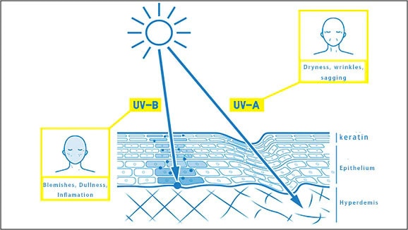 sun protection uva and uvb