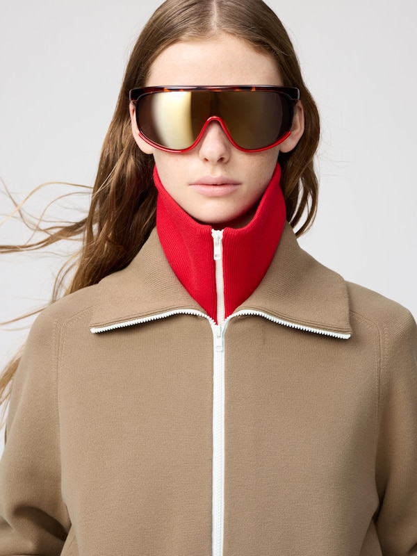 Sunglasses Shield
