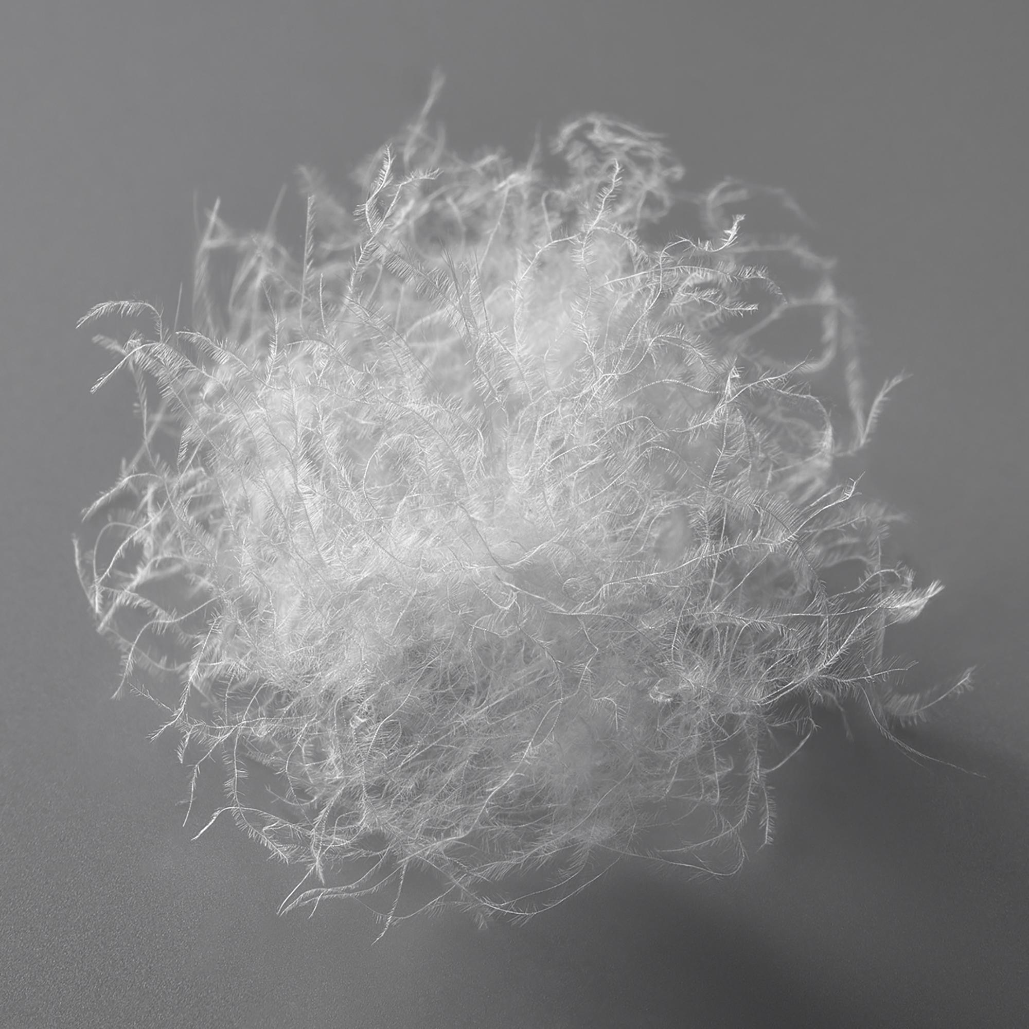 Lightweight yet warm premium down with a fill power of 750+*. *Measured by the IDFB method.