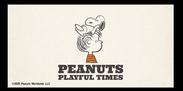 AIRism Oversized Crew Neck T-Shirt