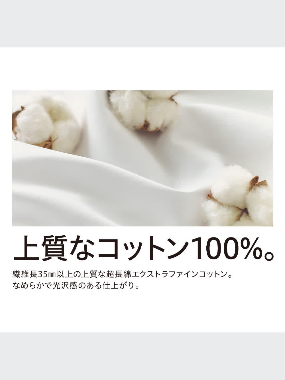 ユニクロ公式 | エクストラファインコットンブロードスタンドカラー