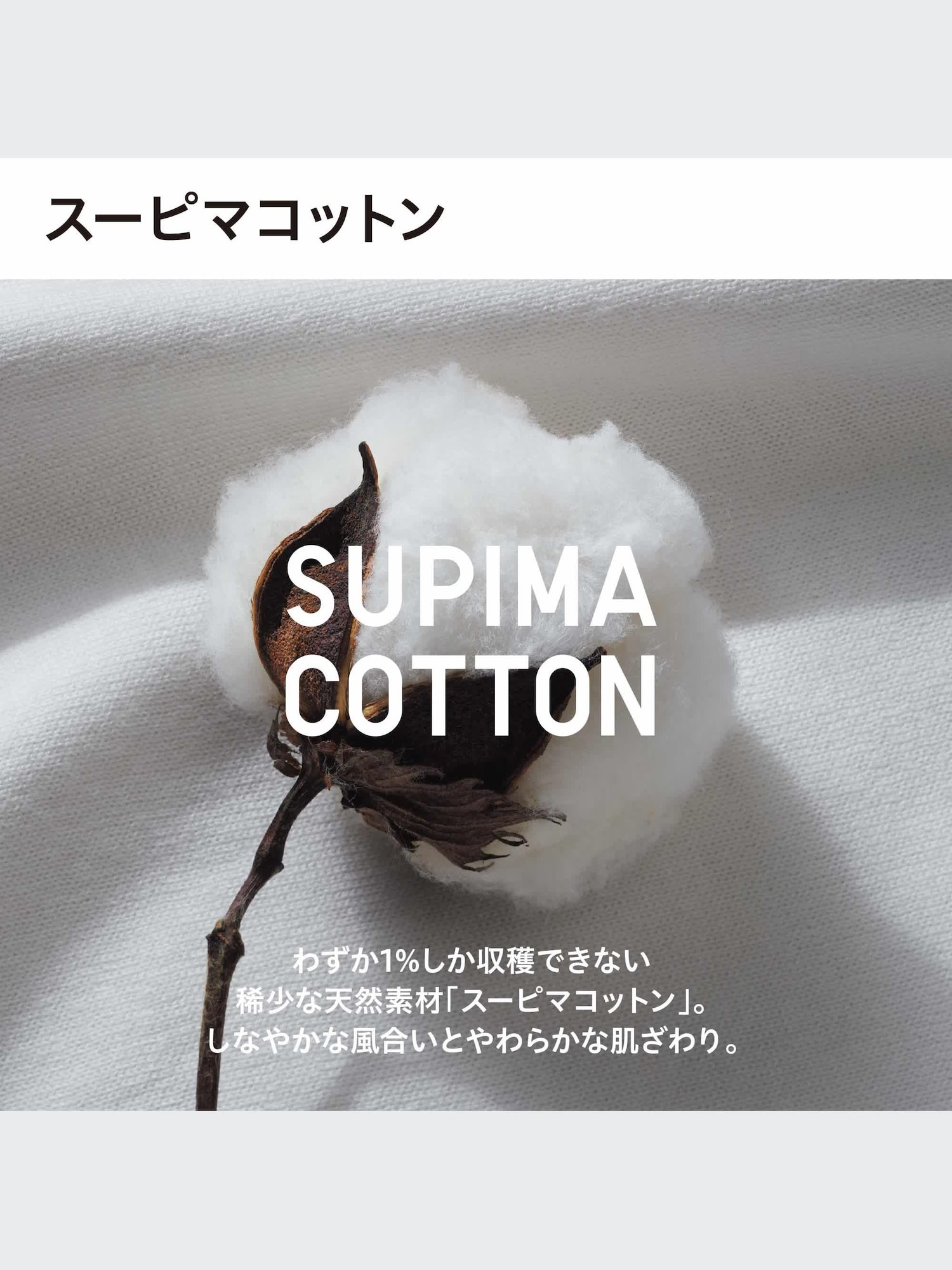 ユニクロ公式 | スーピマコットンボーダーボクサーブリーフ