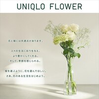 https://image.uniqlo.com/UQ/ST3/jp/imagesgoods/458166/feature/jpgoods_458166_feature1.jpg