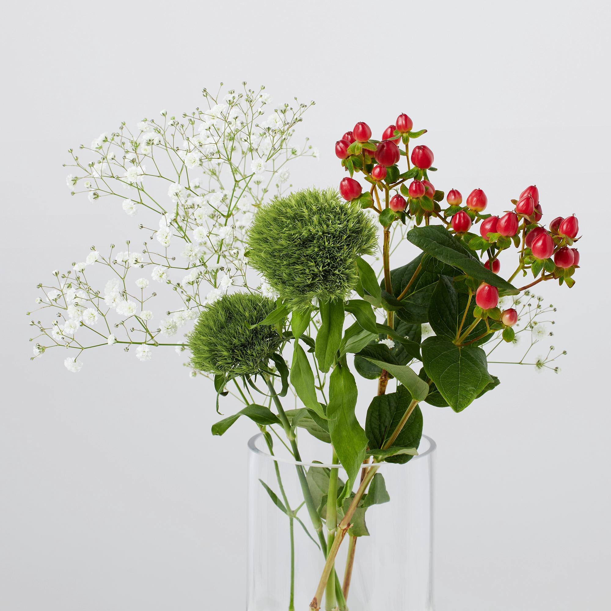 ユニクロ公式 期間限定 ヒペリカム ギフト