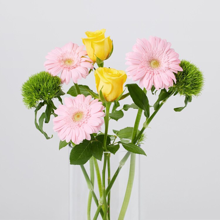 ユニクロ公式 ガーベラ バラ