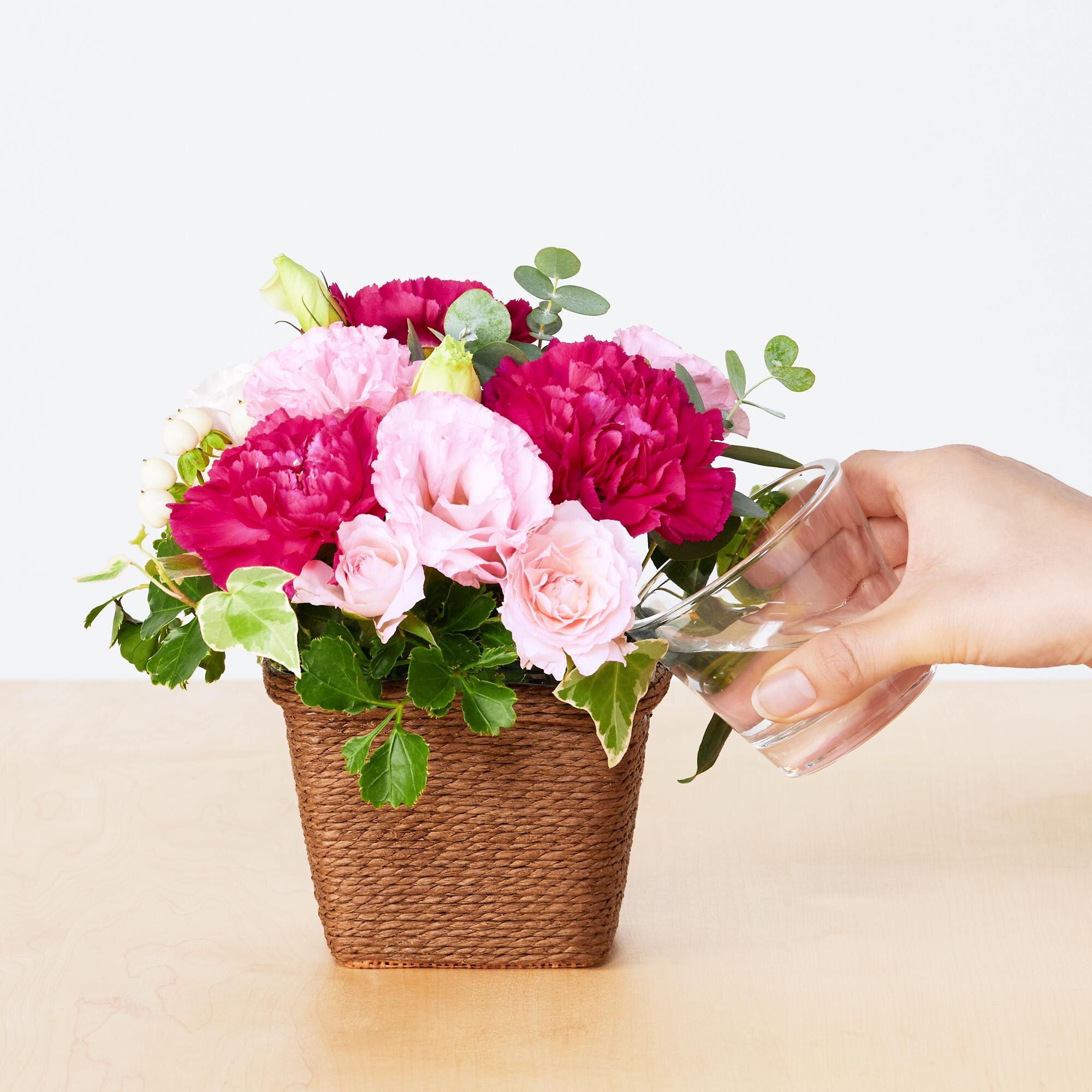 ユニクロ公式 | 季節のアレンジメント