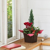 https://image.uniqlo.com/UQ/ST3/jp/imagesgoods/479988/feature/jpgoods_479988_feature1.jpg