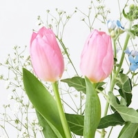 https://image.uniqlo.com/UQ/ST3/jp/imagesgoods/481310/feature/jpgoods_481310_feature1.jpg