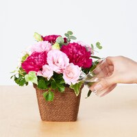 https://image.uniqlo.com/UQ/ST3/jp/imagesgoods/482129/feature/jpgoods_482129_feature2.jpg