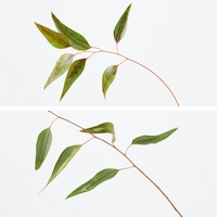 https://image.uniqlo.com/UQ/ST3/jp/imagesgoods/483828/feature/jpgoods_483828_feature1.jpg