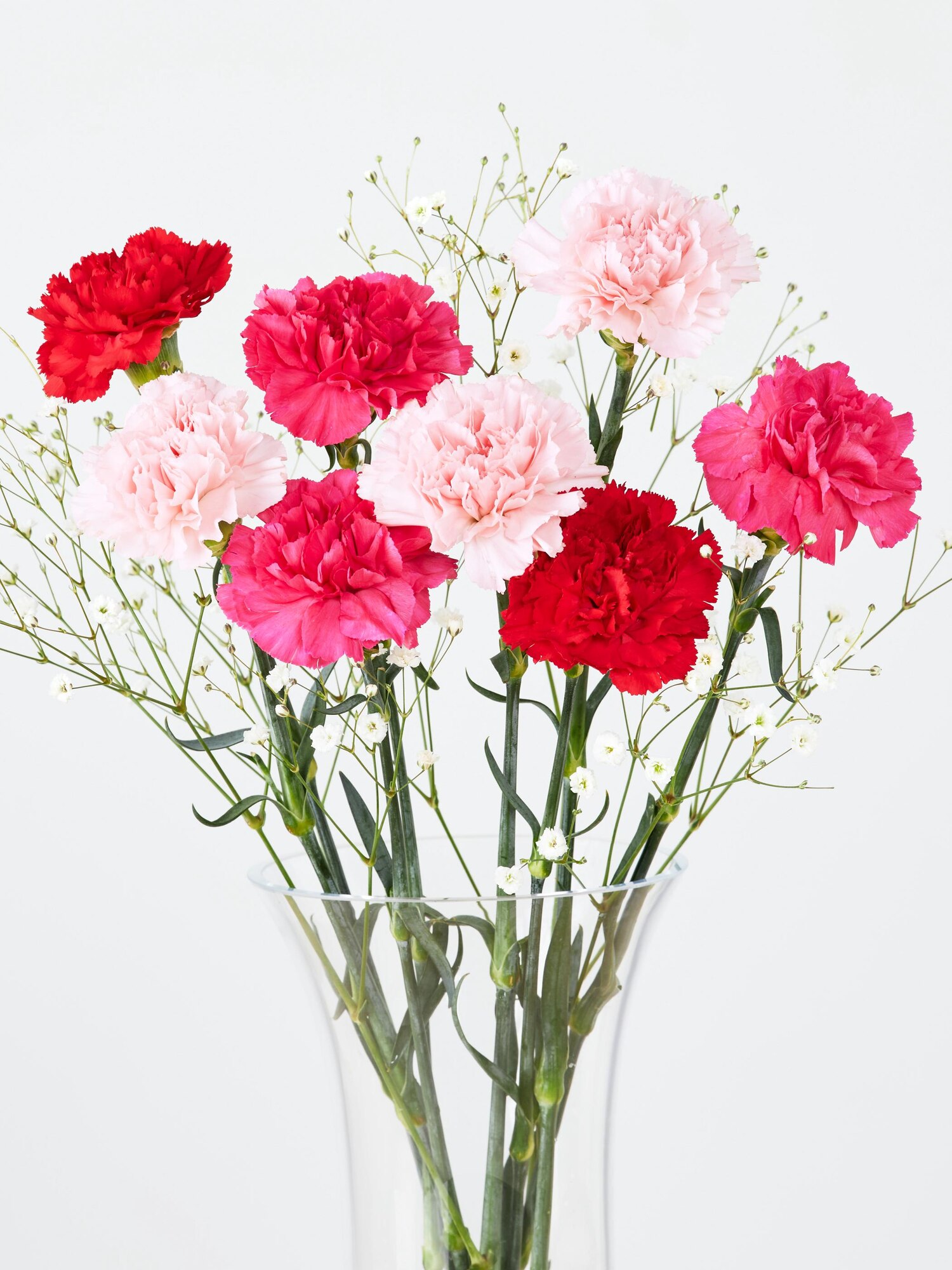 ゆらですページ 計56本　母の日　花束 ゆらですページ 計56本 母の日 花束 楽天市場】【LINEお友だち登録