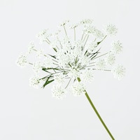 https://image.uniqlo.com/UQ/ST3/jp/imagesgoods/483865/feature/jpgoods_483865_feature2.jpg